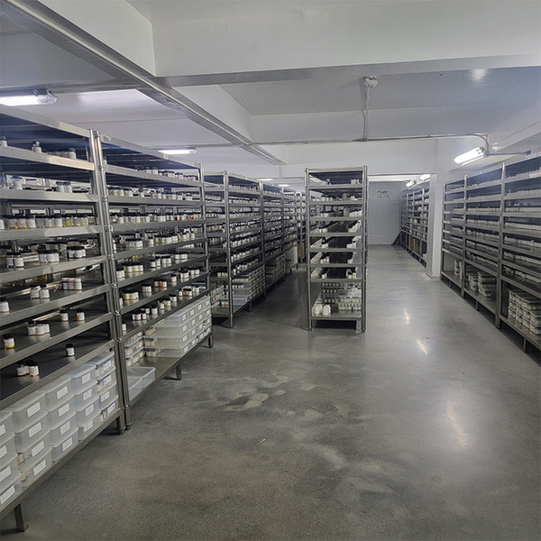 Guangzhou plant fragrance Co., Ltd ligne de production du fabricant