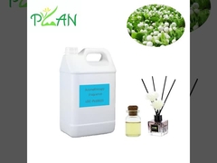 Aromathérapie durable Parfums huile de jasmin Huile d'essence