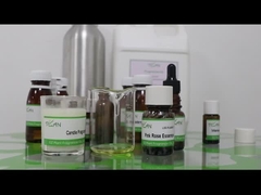 Des échantillons gratuits bougie parfumée rose rose parfum essence écologique