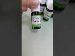 Découvrez pourquoi choisir l'huile parfumée Versace Floral 250ml pour la fabrication de shampooing