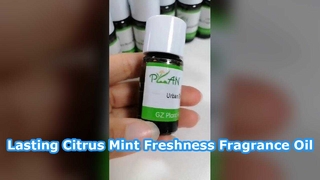 Huile de parfum à la menthe et aux agrumes, fraîcheur longue durée