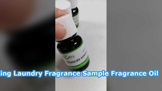 Long Lasting Laundry Fragrance Essence Sample