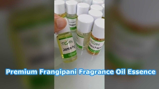 Huile parfumée de frangipanier premium pour bougies et diffuseurs