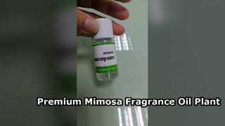 Premium Mimosa Fragrance Oil for Luxury Hotel & Home Scents