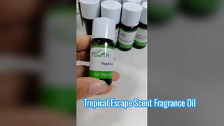 Essence de parfum de bougie de fleur de gingembre