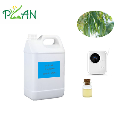 Parfums diffuseurs d'eucalyptus Pure France Naturelle Parfums d'huile d'arbre à thé