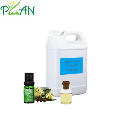 Diffuseur de parfum avec échantillon gratuit huile de parfum de romarin et d'eucalyptus pour bâton de roseau et bougie parfumée froide